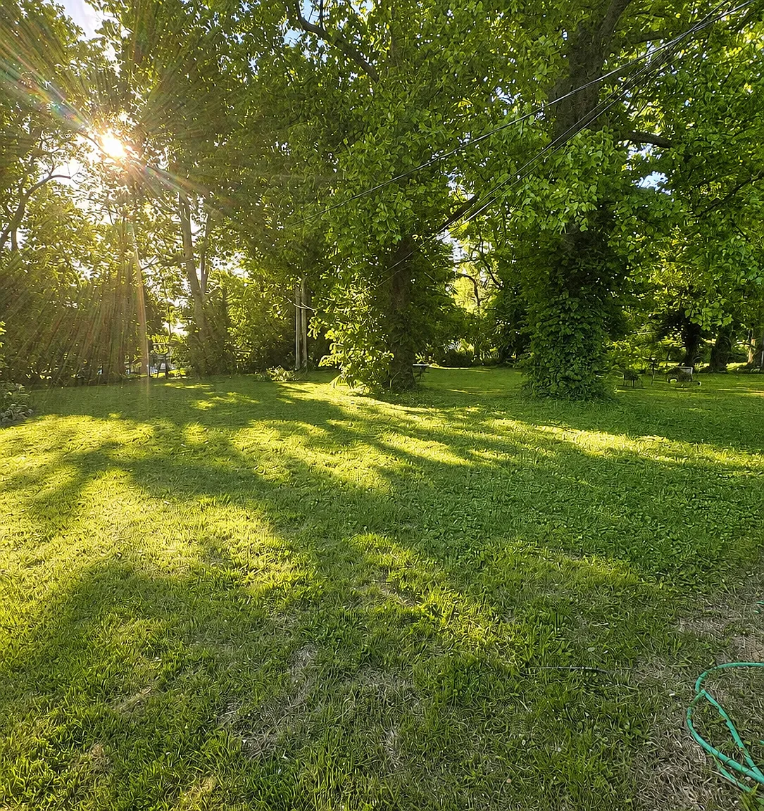 2 bed, 939 sqft, $1,200 — Photo 2