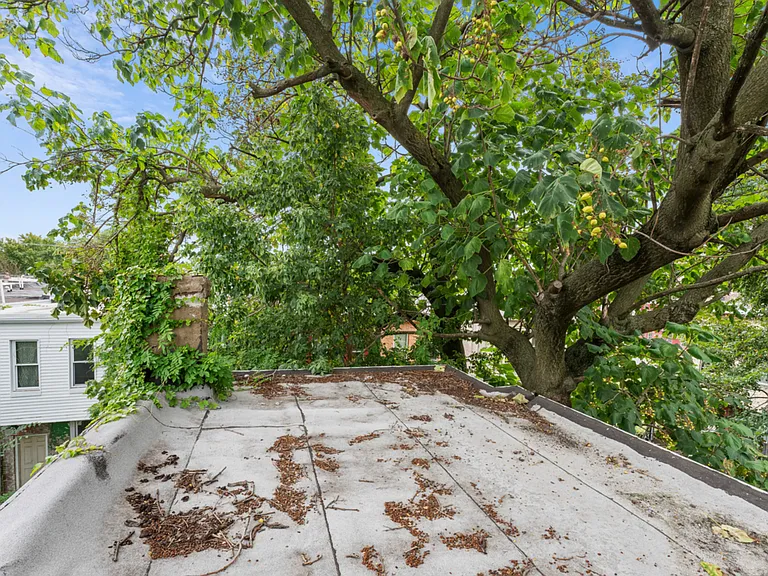 1232 West Somerset Street — Photo 13