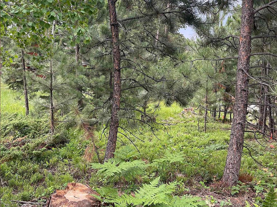 1st image of Birch Dr
