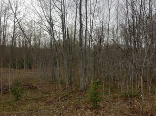 Beechnut Ln, Wolverine, MI 49799