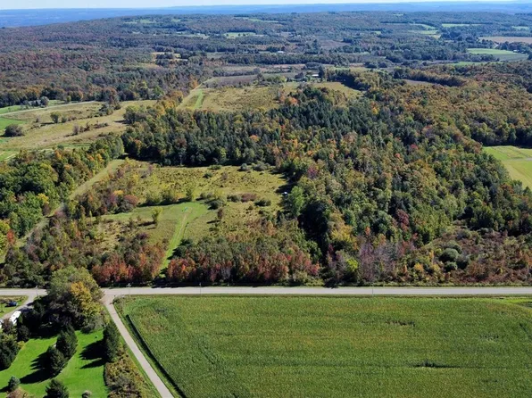 Flucker Hill Rd Lot 9, South Dayton, NY 14138