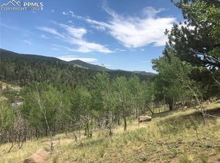 170 Little Topsey Dr, Cripple Creek, CO 80813