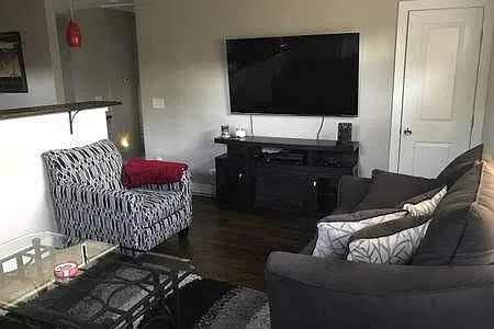 2 bed, 1250 sqft, $3,000 — Photo 3