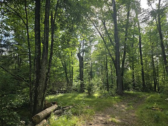 4th image of E Michland Path