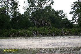 1st image of 11111 Biscayne Blvd #22E