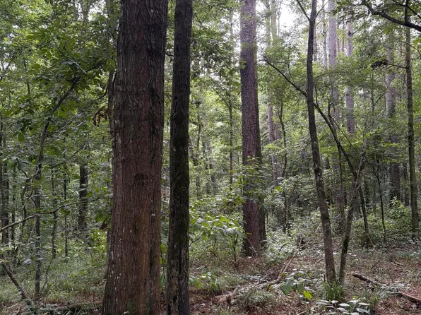 Shiloh Rd, Pelahatchie, MS 39145