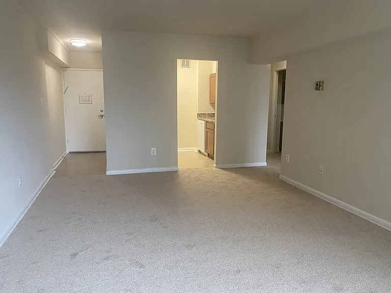 Silver Spring Towers — Photo 137