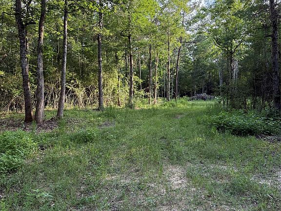 2nd image of E Capps Rd