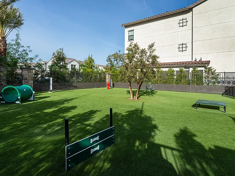 A playful space for pets