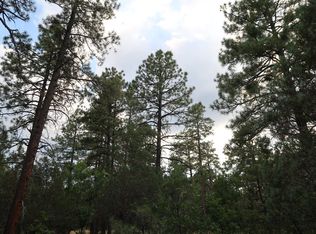 2889 Lockwood Dr, Lakeside, AZ 85929