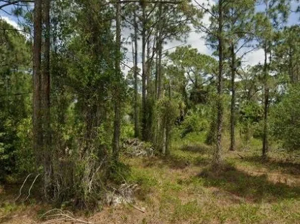 713 Clemwood AVE S, LEHIGH ACRES, FL 33974