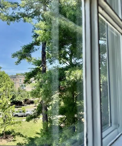 3824 Porter St NW #E395 — Photo 28