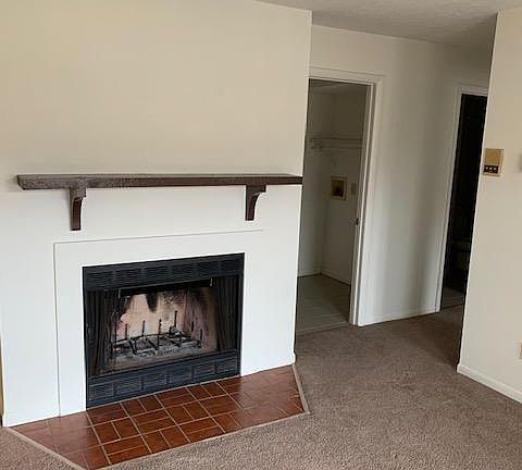 woodburning fireplace