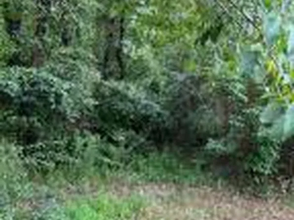 (undisclosed Address), London, AR 72847