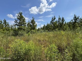 SE Davis Peacock Rd LOT 51, Wewahitchka, FL 32449
