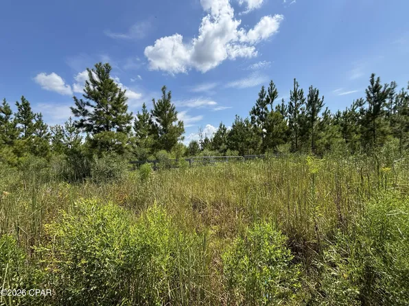 SE Davis Peacock Rd Lot 51, Wewahitchka, FL 32449