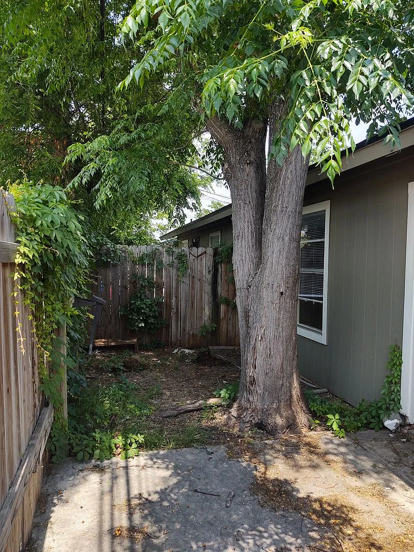 624 Mill Street — Photo 3