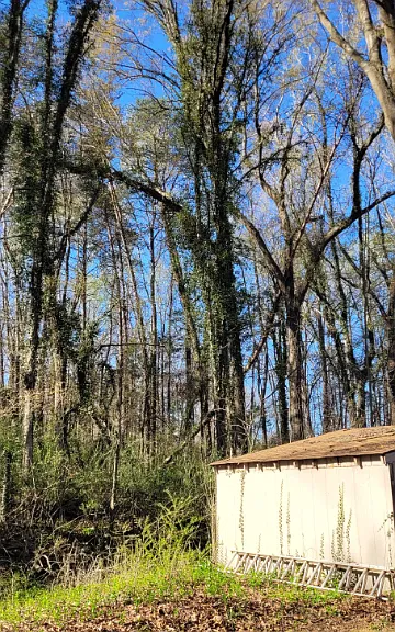 720 Riddle Mill Rd — Photo 25