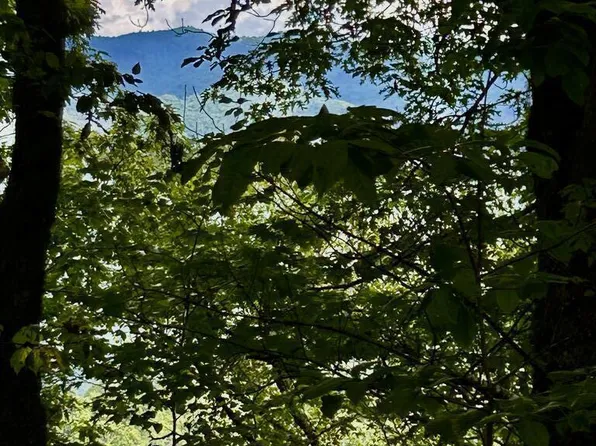 78 & 79 Road A, Bryson City, NC 28713