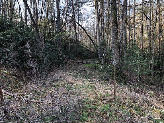 3rd image of 0 Matlock Creek Rd