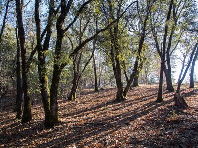 0 Emery Ln, Colfax, CA, 95713