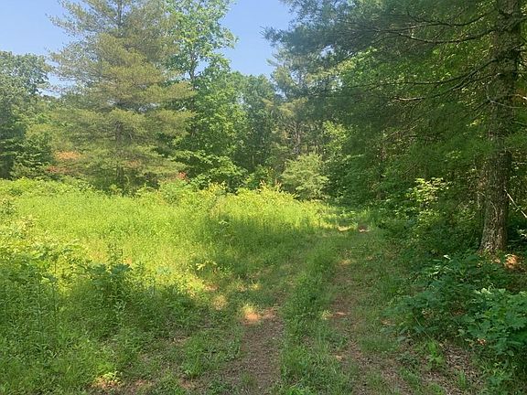 2nd image of 5571 McNabb Rd