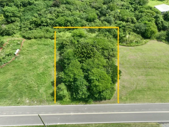 41-E Whim (Two Will) WE, St. Croix, VI 00840