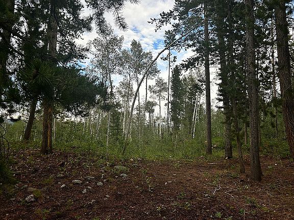 5th image of 3024 Uinta Dr