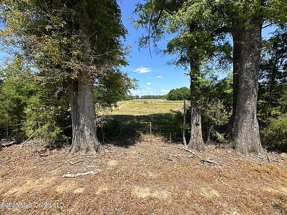 3rd image of Holly Bush Rd