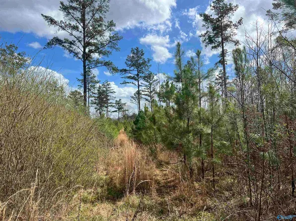 Parker Rd, Moulton, AL 35650