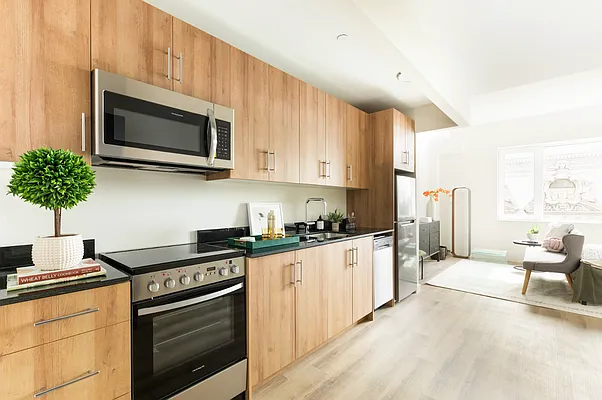 8 Palmetto Street #608