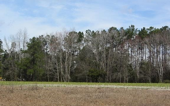 4th image of TBD Peachtree Rd. #corner of Renata Lane