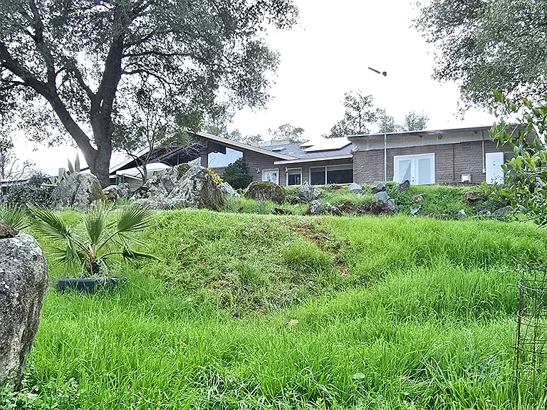 Looking up at the north wing of the house and the patio area and Fr. door entrance.