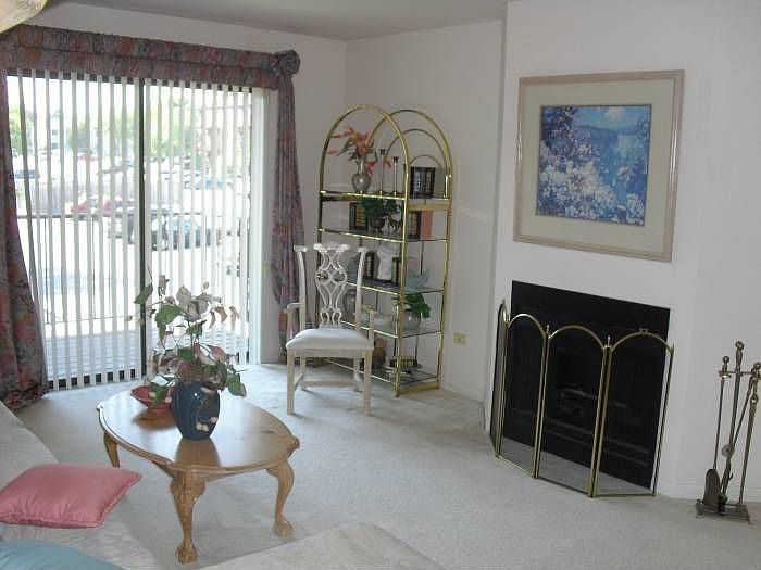 Living Room Fireplace