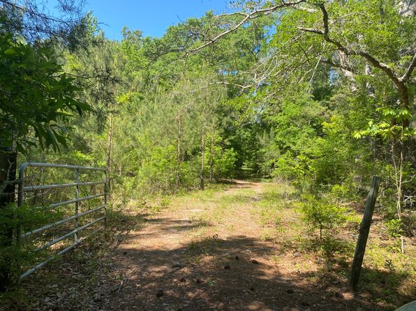 0 Surles Rd, Lapine, AL 36046