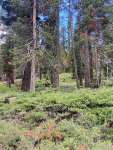 20621 Us Highway 50, South Lake Tahoe, CA, 96150
