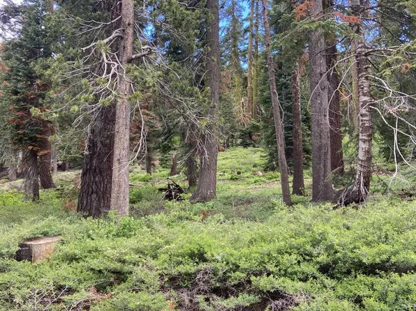 20621 Us Highway 50, South Lake Tahoe, CA 96150