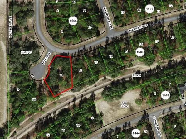 11247 N Ely Point Lot 11, Dunnellon, FL 34433