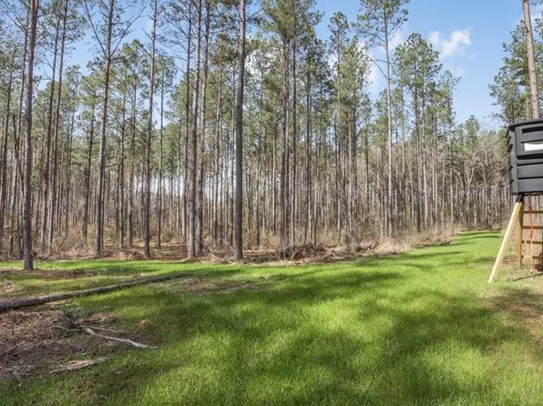 Burris Rd, Smithdale, MS 39664