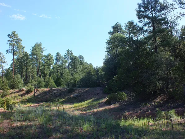 201 S Thunder Mtn, Payson, AZ 85541
