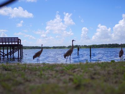 38166 Heron Dr, Umatilla, FL, 32784