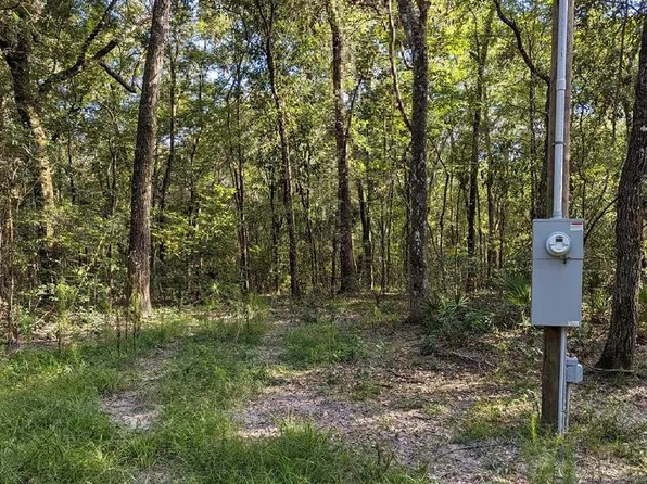 0 NW 82nd Ter, Bell, FL 32619