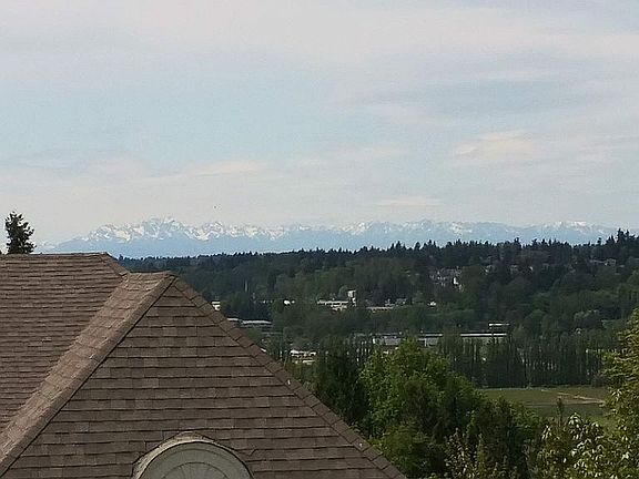 Olympic Mountains View
