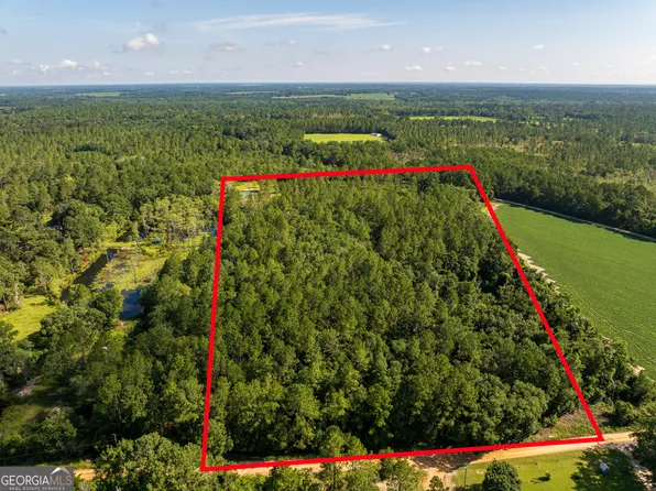 12.05 Acress Roundtree Rd, Quitman, GA 31643