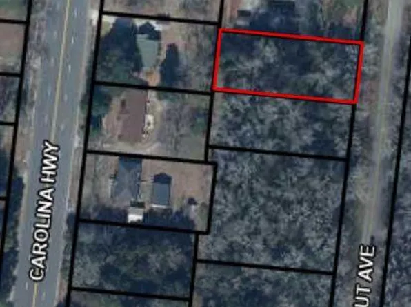 0 Chestnut Ave, Denmark, SC 29042