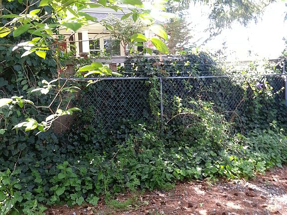 fenced backyard