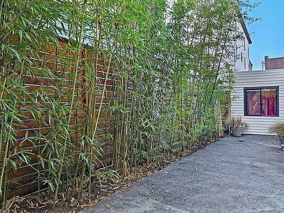 Side yard