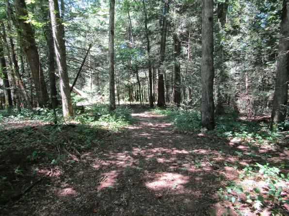 0 White Creek Loop Lot 10, Deer Lodge, TN 37726