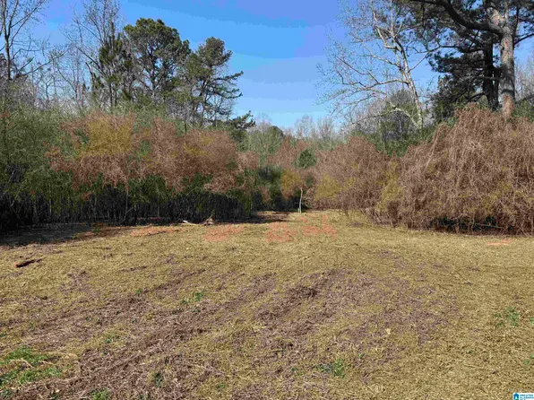 LOT 5 Highway 47 Lot 5, Columbiana, AL 35051