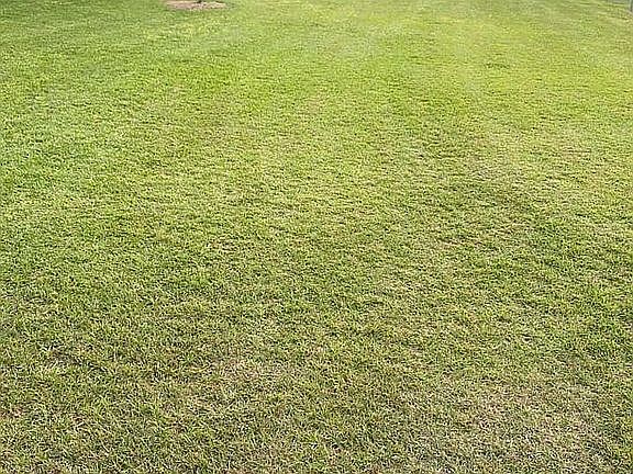 Fenced in portion of yard